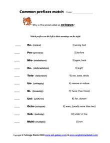 Free quiz on root words prefixes and suffixes