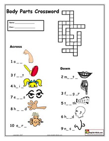 Crossword Puzzles Printable on Body Parts Vocabulary Word Search Exercise