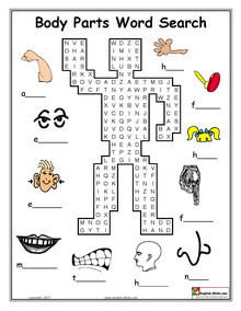 Free Crossword Puzzles on Body Parts Vocabulary Word Search Exercise