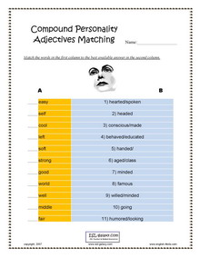 personality adjectives advanced exercises pdf